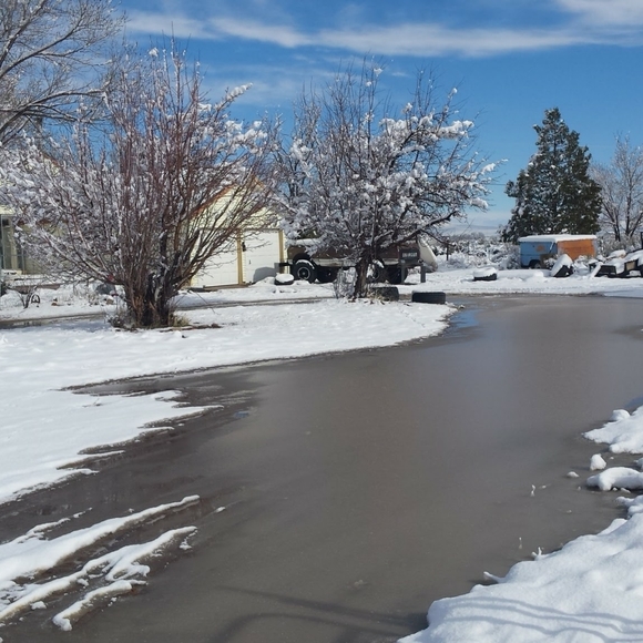 Meet your Posher, Tonya - Picture 3 of 8